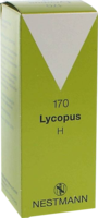 LYCOPUS H Nr.170 Tropfen