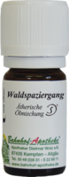 WALDSPAZIERGANG Öl