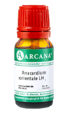 ANACARDIUM ORIENTALE LM 16 Dilution