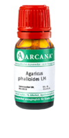 AGARICUS PHALLOIDES LM 16 Dilution