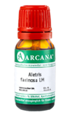 ALETRIS FARINOSA LM 2 Dilution