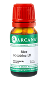 ALOE SOCOTRINA LM 36 Dilution