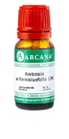 AMBROSIA ARTEMISIAEFOLIA LM 19 Dilution