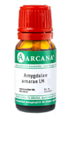 AMYGDALAE AMARAE LM 100 Dilution