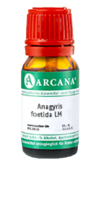 ANAGYRIS foetida LM 28 Dilution